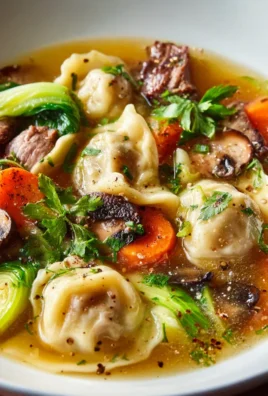 Herzhafte Rindfleisch-Dumpling Suppe mit frischem Gemüse
